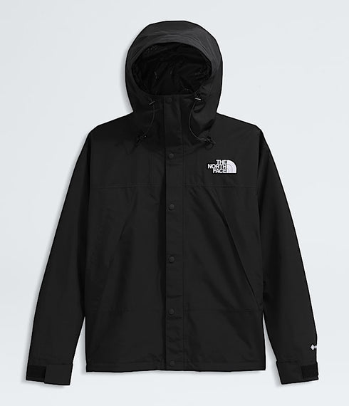 THE NORTH FACE Gtx Mountain Jacket Mens Apparel